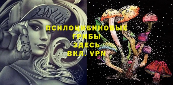 сатива Липки