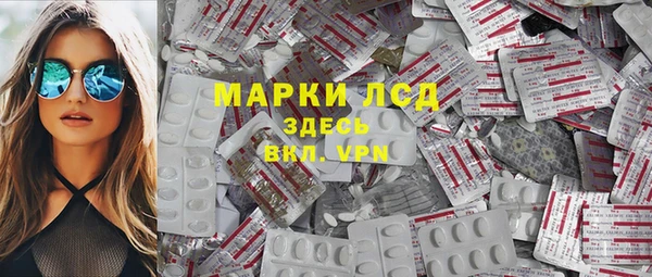 сатива Липки