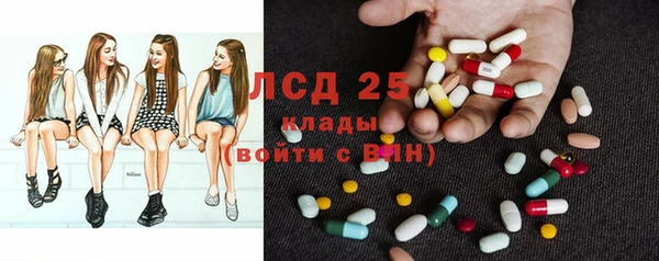 сатива Липки
